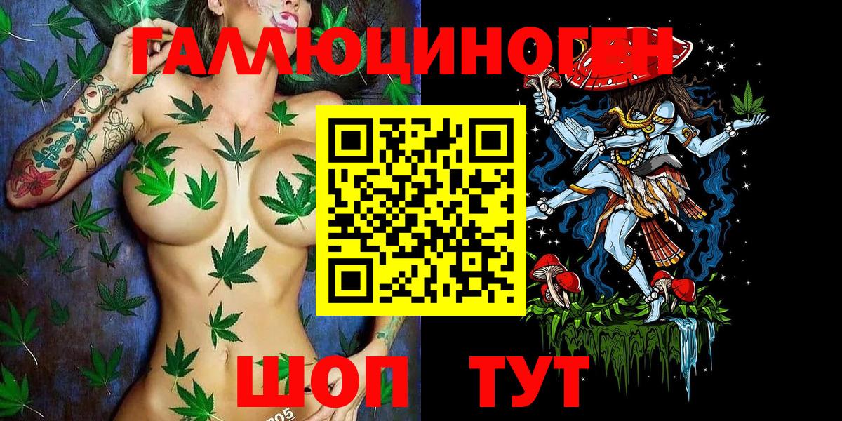 Галлюциногенные грибы Psilocybe  Вход с VPN  Лениногорск 
